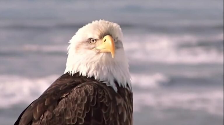 Ronald Reagans Famous Speech “We Are Americans” (video)