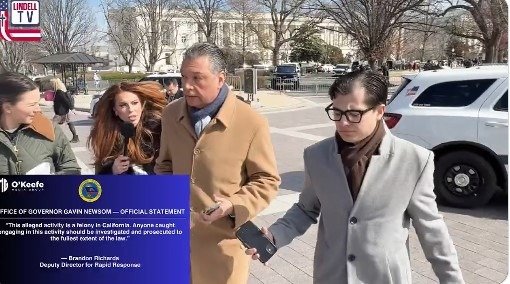 California Cash-for-Ballots Scandal Explodes: Gavin Newsom, King of Democrat Crooks, Turns Blind Eye as Paid Hustlers Admit They Have No Clue What They’re Collecting